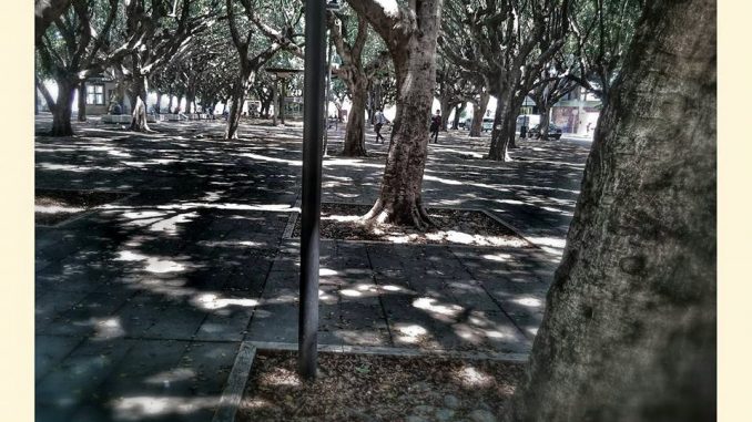 ph_434279.jpg