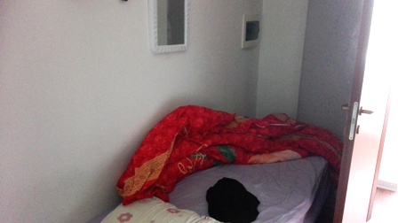 ph_434582.jpg