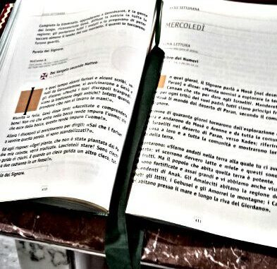 ph_436209.jpg