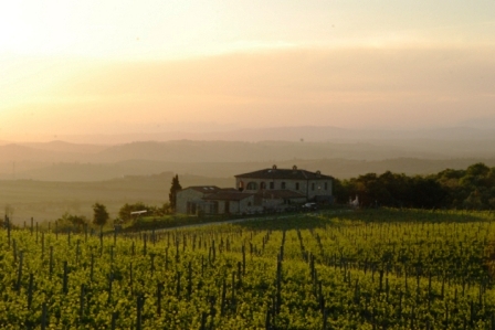 ph_436474.jpg