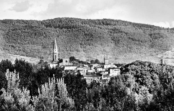 ph_436513.jpg