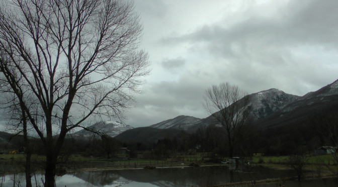 ph_436905.jpg