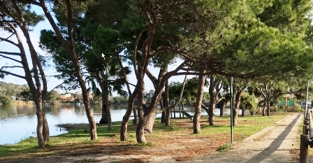 ph_437459.jpg